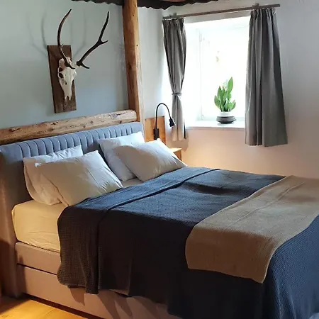 Bauernchalet Orainza 아파트 *