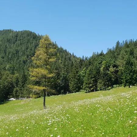 Bauernchalet Orainza * 펠레크