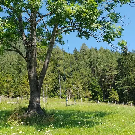 Bauernchalet Orainza 아파트 *