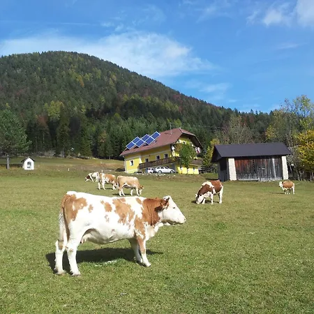 Bauernchalet Orainza 아파트 *