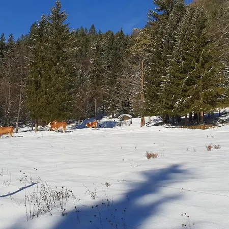 Bauernchalet Orainza