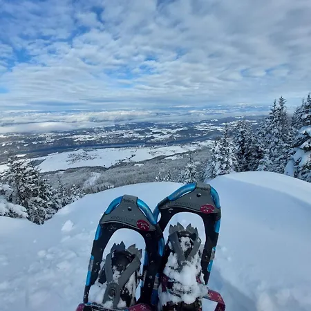 Bauernchalet Orainza