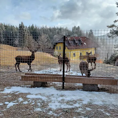 Bauernchalet Orainza Апартаменты *