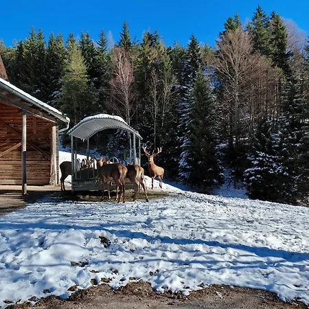 Bauernchalet Orainza * Ферлах