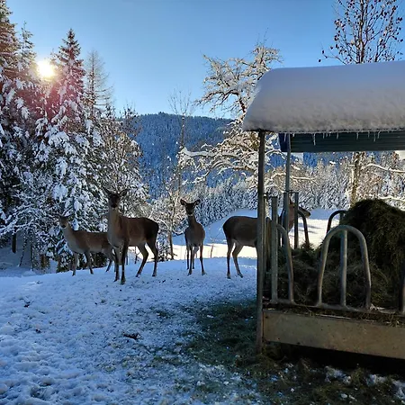 Bauernchalet Orainza Апартаменты *