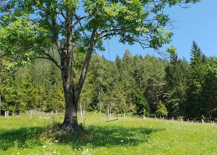 Bauernchalet Orainza Апартаменты *