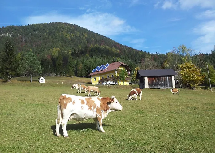 Bauernchalet Orainza Апартаменты *