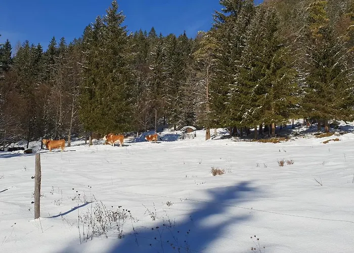 Bauernchalet Orainza