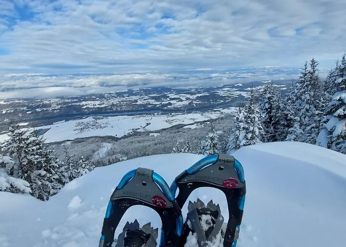 Bauernchalet Orainza