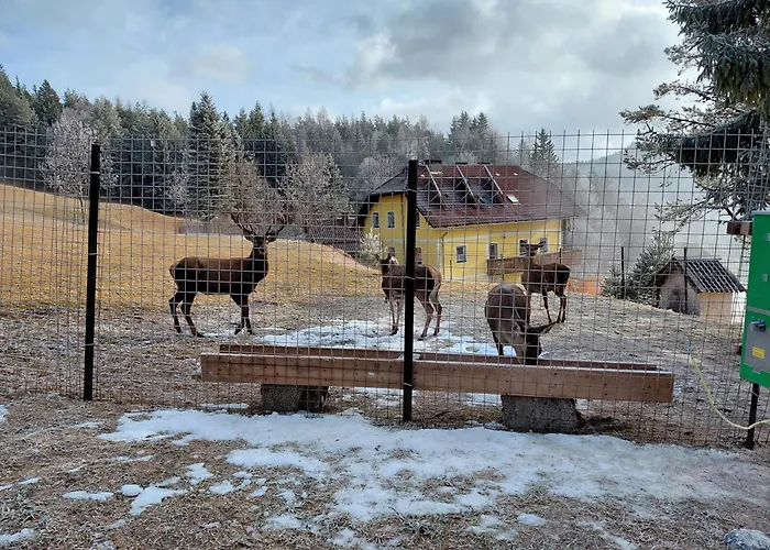 Bauernchalet Orainza Apartment *