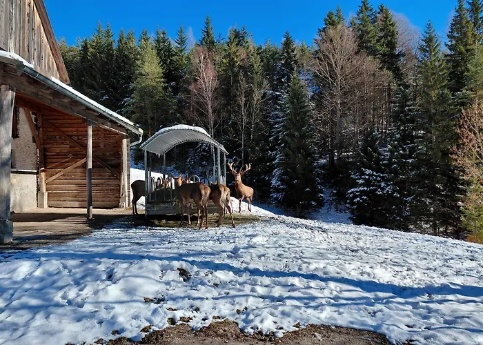 Bauernchalet Orainza * Ферлах