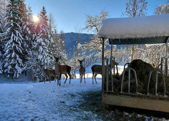 Bauernchalet Orainza Апартаменты *
